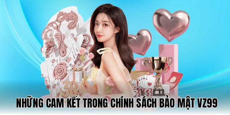 Cam-ket-trong-chinh-sach-bao-mat-vz99